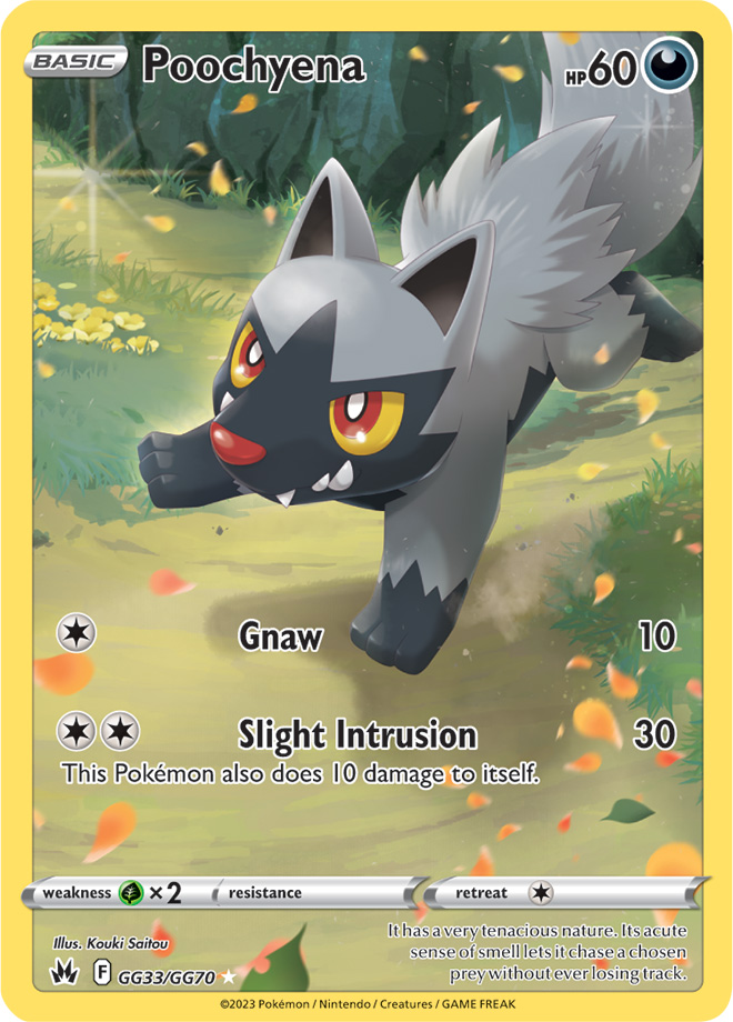 Poochyena AR Pokemon Card